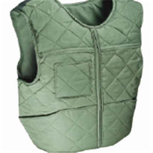 Armor Express - Quilted Insulated Carrier