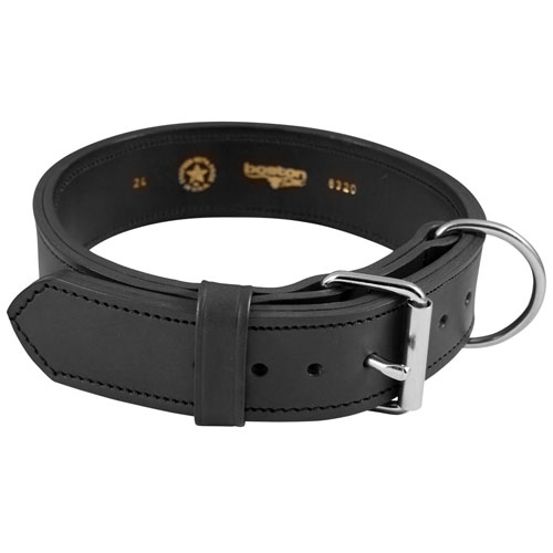 Leather Agitation Dog Collar