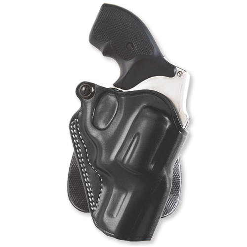 Speed Paddle Holster