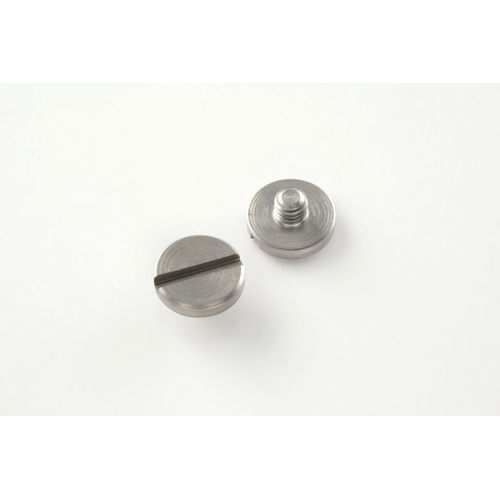 P85-91 And P94 Screws (2) Slotted Stainless Finish