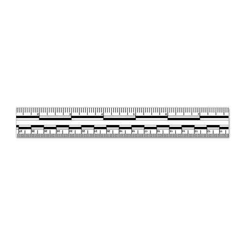 Continuous Photo Scale Roll