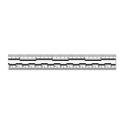 Continuous Photo Scale Roll