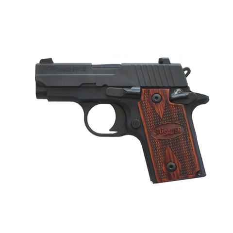 P238 We The People