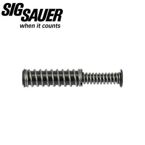 P365 Recoil Spring Kit
