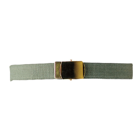 Web Belt With Metallic Closed Face Buckle