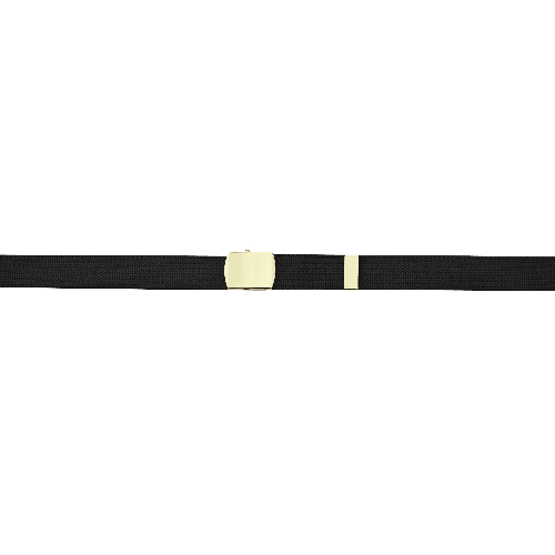 Web Belt With Metallic Closed Face Buckle