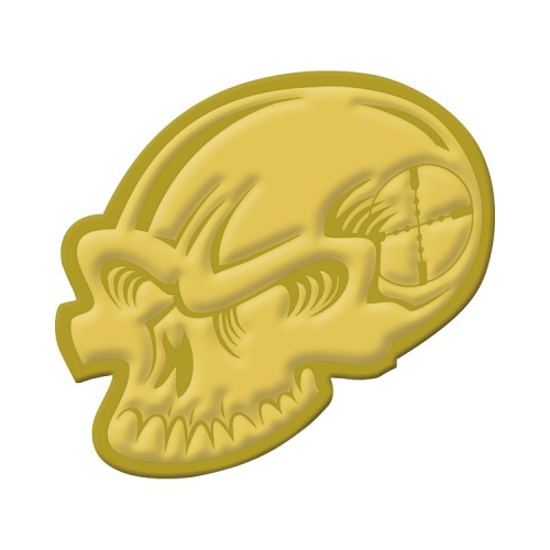 Skull Challenge Coin